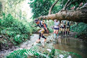 BIB: 
                            <button type="button" onclick="openModal(25477599)" class="btn btn-primary btn-sm float-right btn-popup" data-toggle="modal" data-target=".modal-high-quality">
                        <i class="fas fa-shopping-cart"></i> Add to Cart
                    </button>
                                            <button type="button" onclick="isThisMe(25477599, true)" class="btn btn-success btn-sm float-right btn-popup btn-isme hidden" data-toggle="tooltip" data-placement="bottom" title="นี่คือรูปของคุณใช่ไหม คลิกที่นี่เพื่อเอาเข้าอัลบั้ม">
                        <i class="fas fa-plus"></i> Add to album
                    </button>
                    <button type="button" onclick="isThisMe(25477599, false)" class="btn btn-warning btn-sm float-right btn-popup btn-isnotme hidden">
                        <i class="fas fa-ban"></i> Remove from album
                    </button>